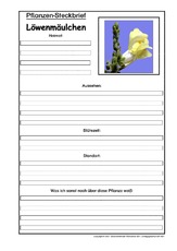 Pflanzensteckbrief-Löwenmäulchen.pdf